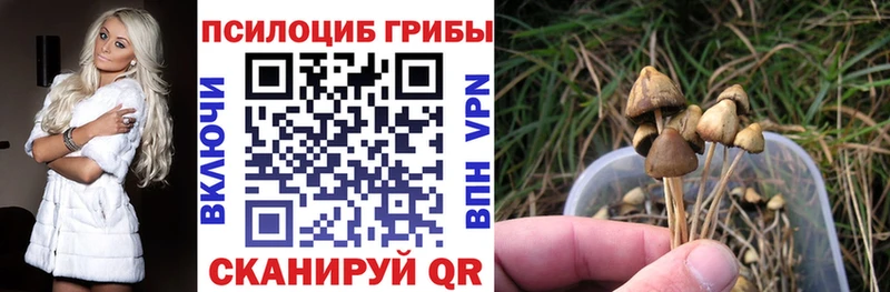 МЕГА ONION  Сретенск  Галлюциногенные грибы MAGIC MUSHROOMS  где продают наркотики 